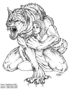 236x291 Werewolf Head Drawing (Not My Art!) The Werewolves