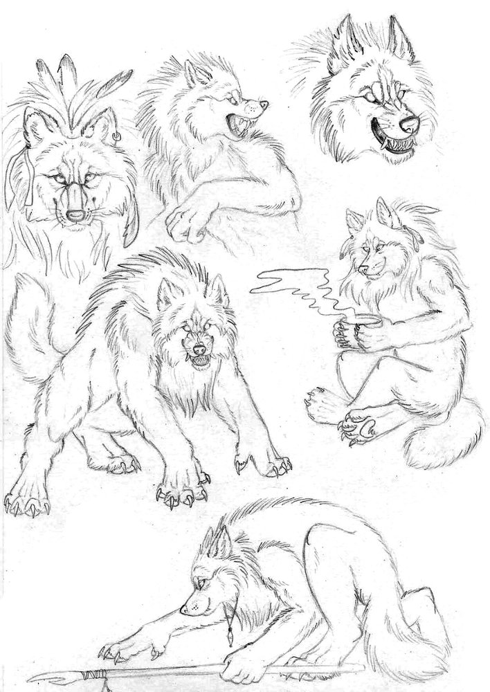 708x1000 Werewolf Sketches By Vlcek