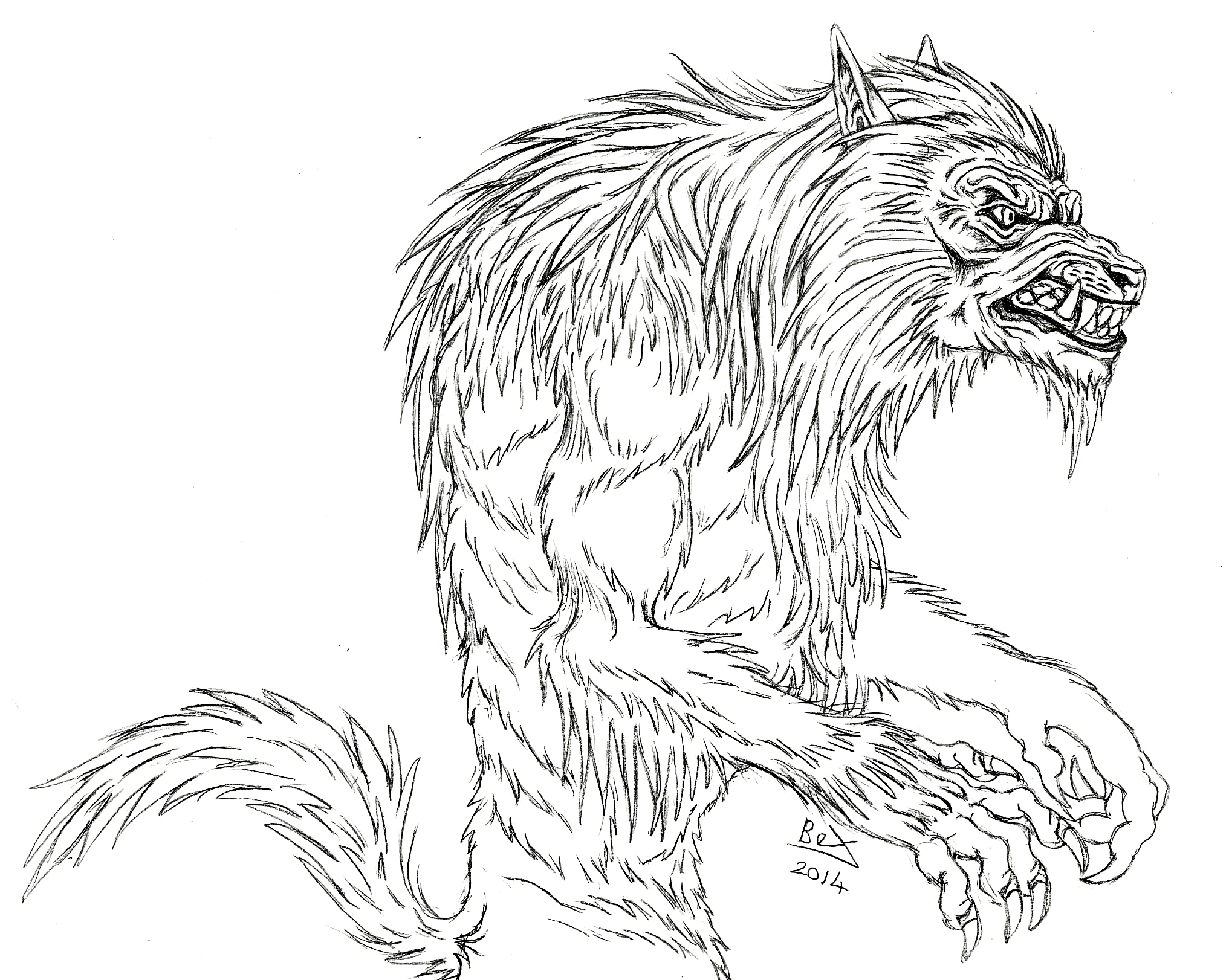 Werewolf Head Drawing at GetDrawings | Free download