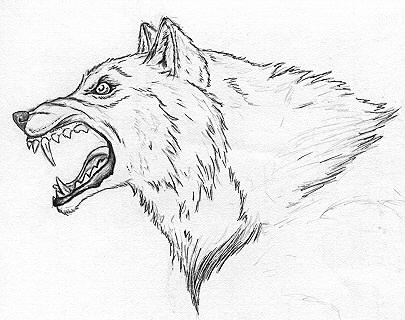 405x320 My Other Art