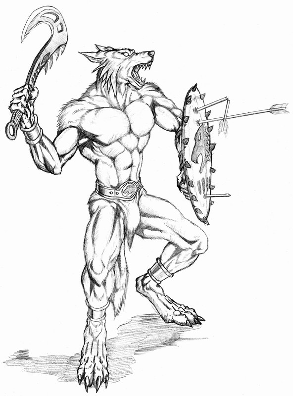 592x800 Werewolf Warrior With Shield By Wolflsi