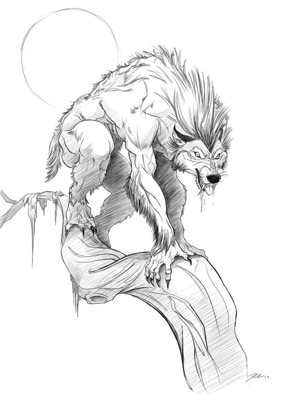 600x800 Werewolf .good Times By Davidsdoodles