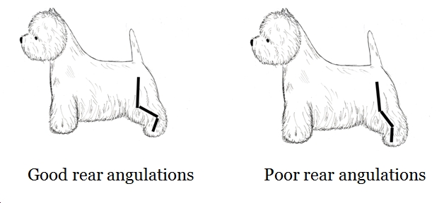 628x288 The Whwtc Of England