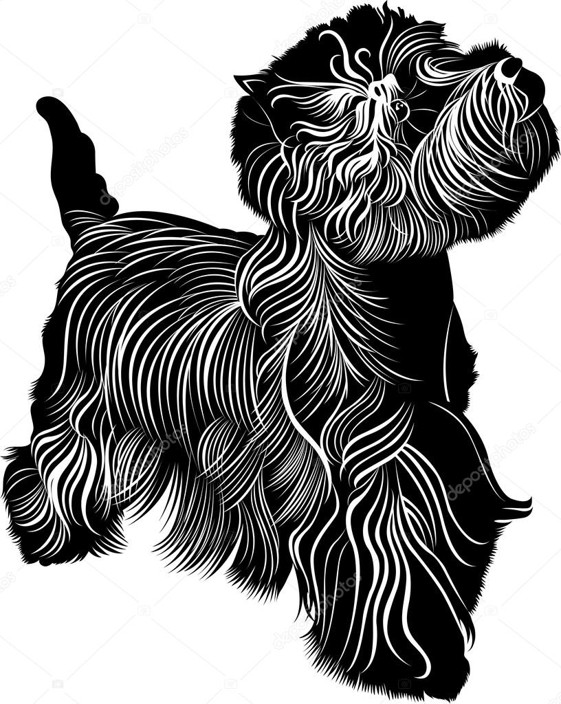 816x1024 West Highland Terrier Stock Vector Weter777