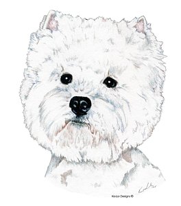 264x300 Westie Terrier Drawings