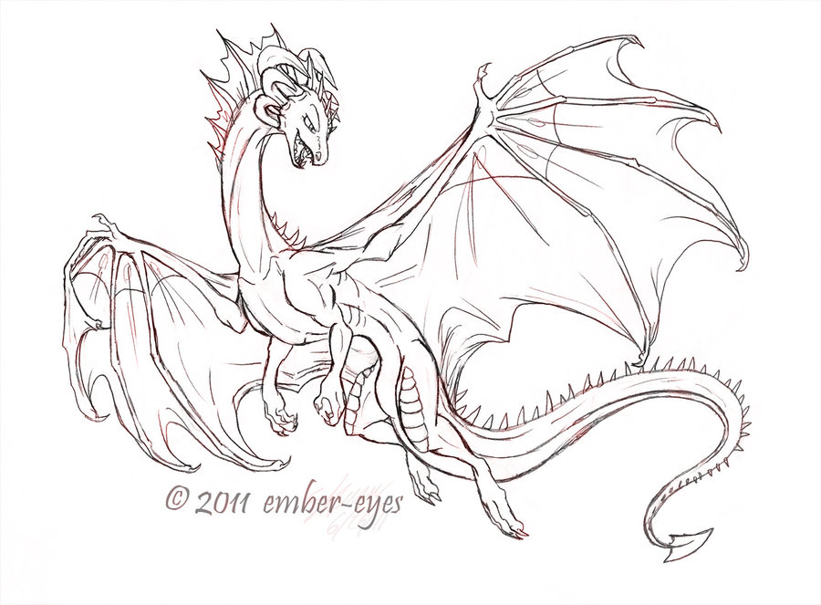 900x663 Western Dragon Sketch By Ember Eyes