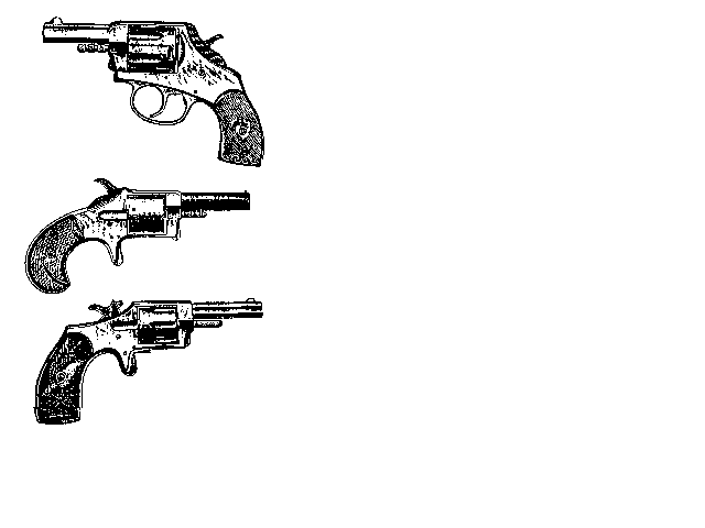 640x480 4. Old West Firearms