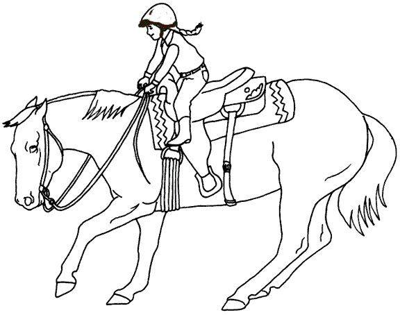 Western Saddle Drawing at GetDrawings | Free download