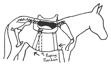 432x250 Mammoth Mules Article