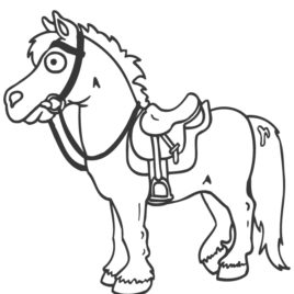 268x268 Images About Horses! On Western Saddles, Saddles