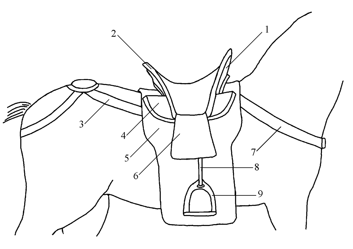 1136x800 Riding Horse Tack Among The Cattle Breeders Of Central Asia