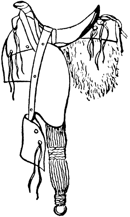 421x700 19thcenturyunitstudy3science