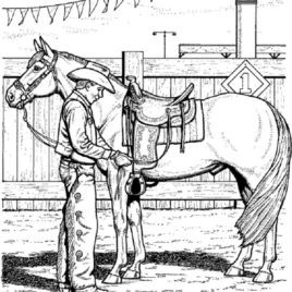 268x268 Coloring Pages Of Horse Saddles Archives