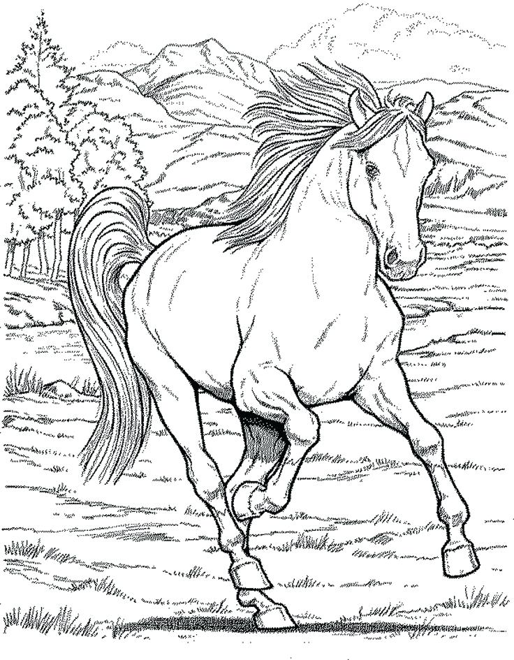 736x945 Western Coloring Pages Or Free Printable Cowboy Coloring Pages