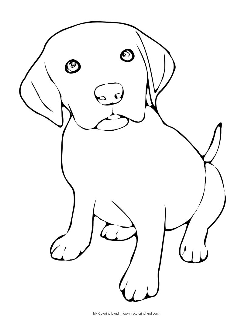 816x1056 We Hope You Have Found A Puppy Coloring Page Suitable To Your