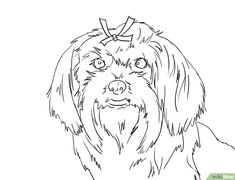 235x180 Winter Maltese Boys Canvas Print Canvas Art By Kim Niles