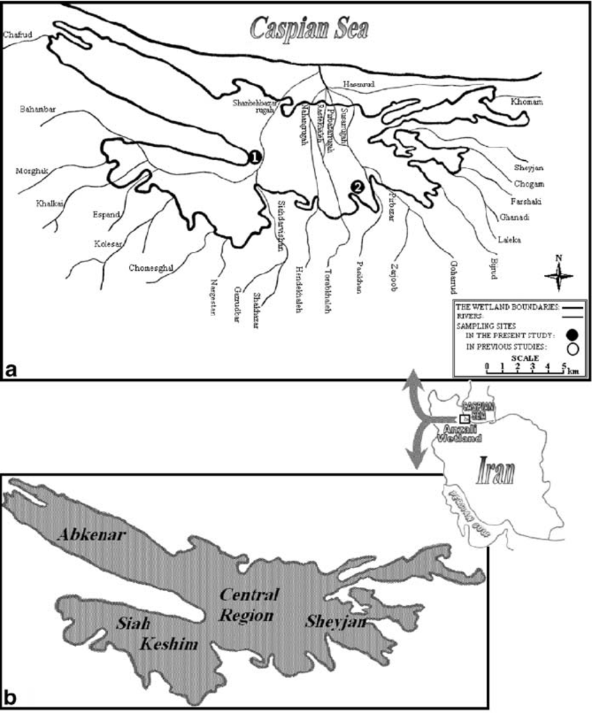 850x1024 Map Of Anzali Wetland Showing The Location Of The Sampling Sites