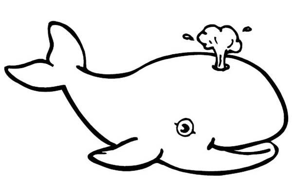 600x386 Pictures Of Whales To Color