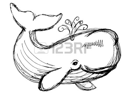 450x331 The Whale Drawing. Hand Drawn Illustration With Whale. Animal