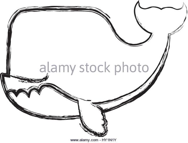 640x487 Whale Cartoon Drawing Animal Stock Photos Amp Whale Cartoon Drawing
