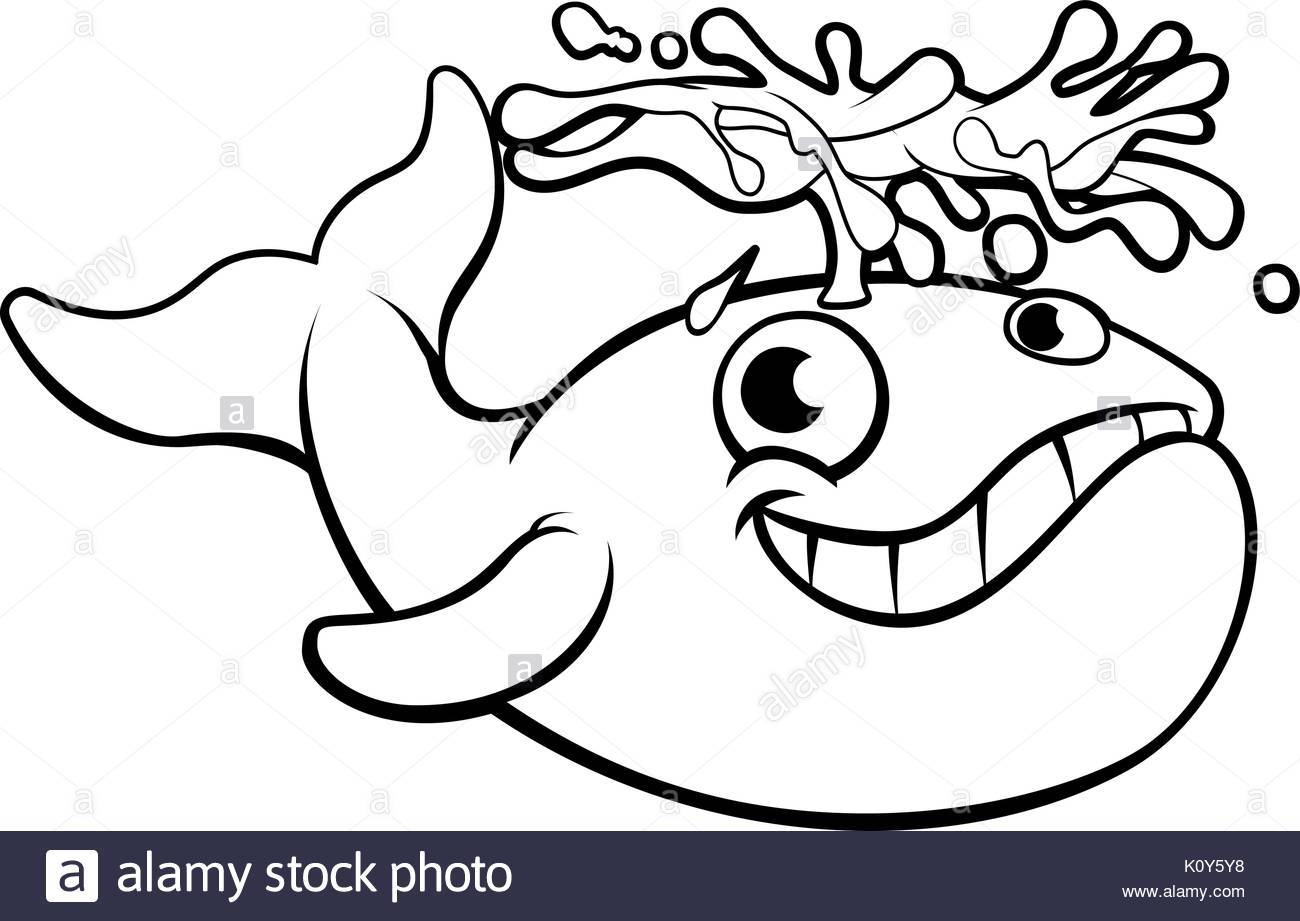 1300x921 Whales Cut Out Stock Images Amp Pictures