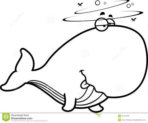 618x513 Adult Cartoon Picture Of A Whale Cartoon Picture Of A Whale