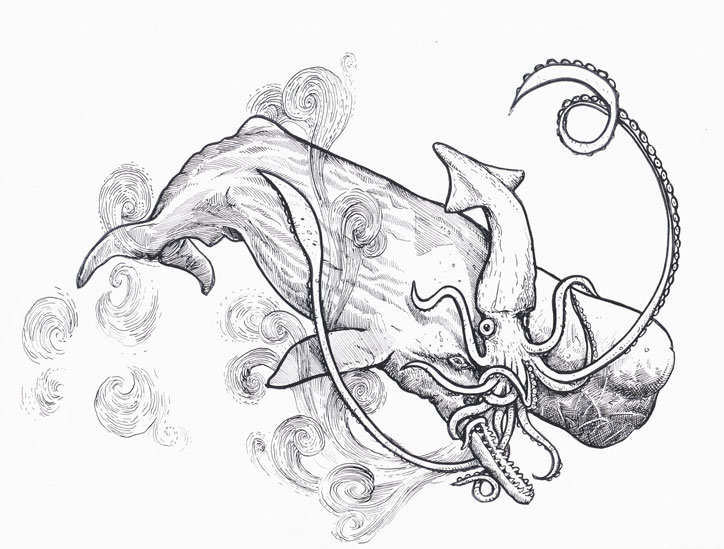 724x549 Squid Vs Whale