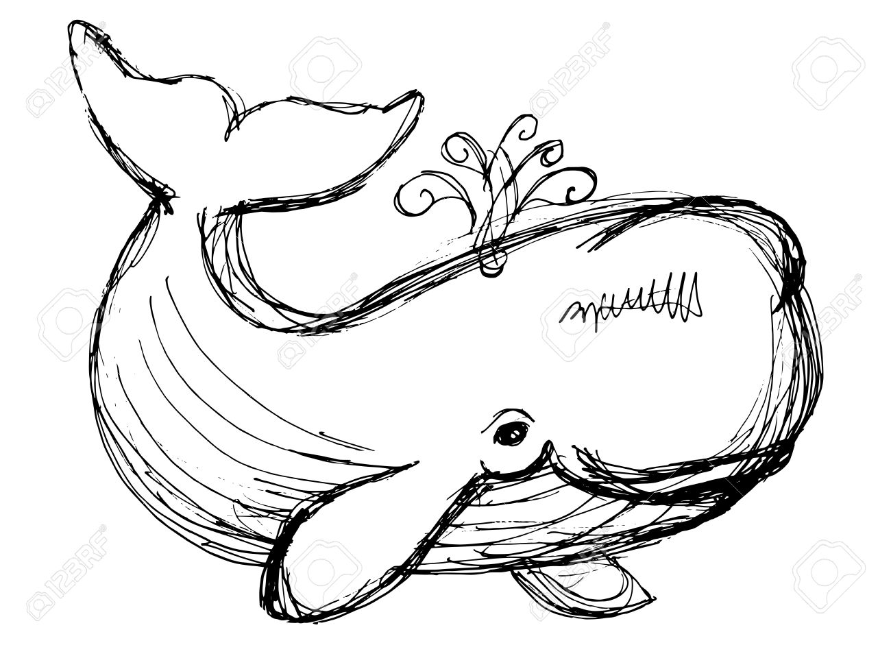 1300x957 The Whale Drawing. Hand Drawn Illustration With Whale. Animal