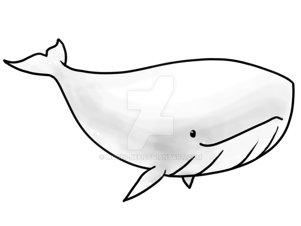 1024x768 Transparent Whale By Eiocia