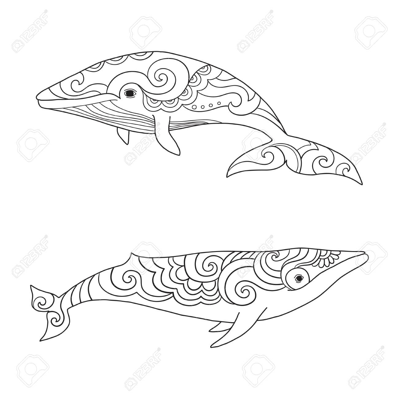 1300x1300 Cartoon Vector Sea Whale. Vector Sketch Doodle Line Art. Royalty