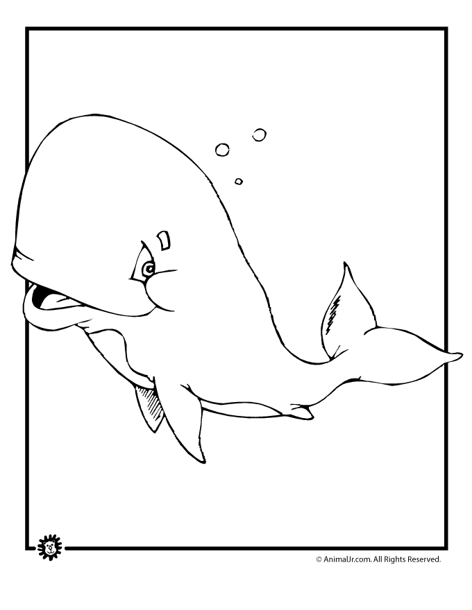 680x880 Cartoon Whale Coloring Page Animal Jr.