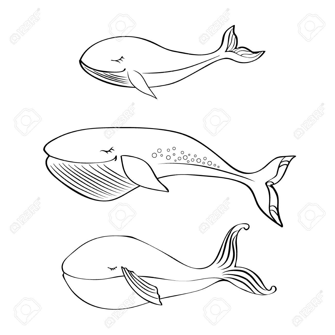 1300x1300 Whale Cute Cartoon Funny Illustration Isolated On White Background