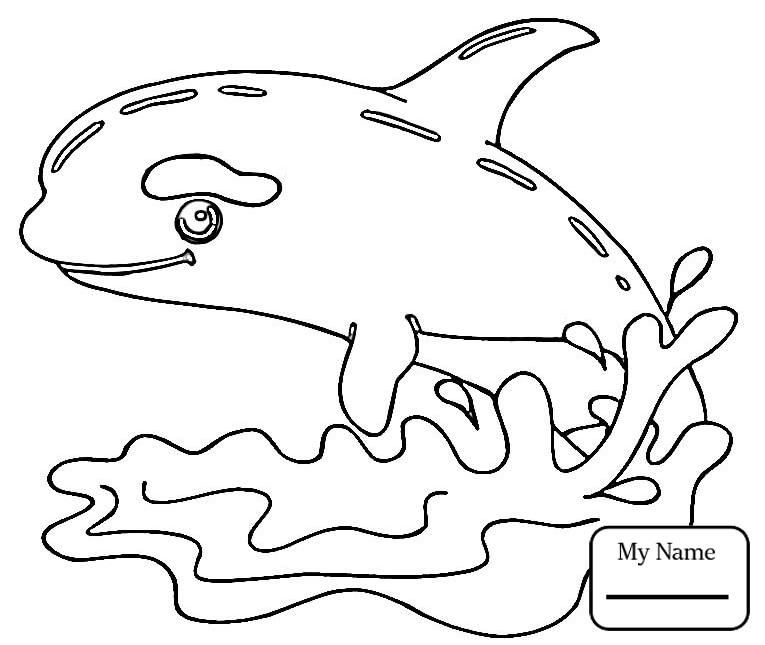 765x645 Coloring Pages For Kids Cute Cartoon Whale Mammals