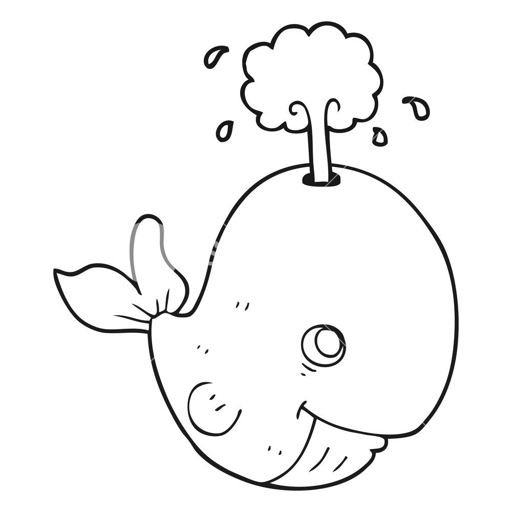 Whale Drawing Cartoon at GetDrawings | Free download