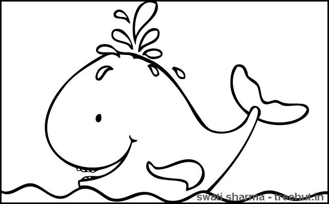 640x397 Cute Whale Coloring Pages Color Bros