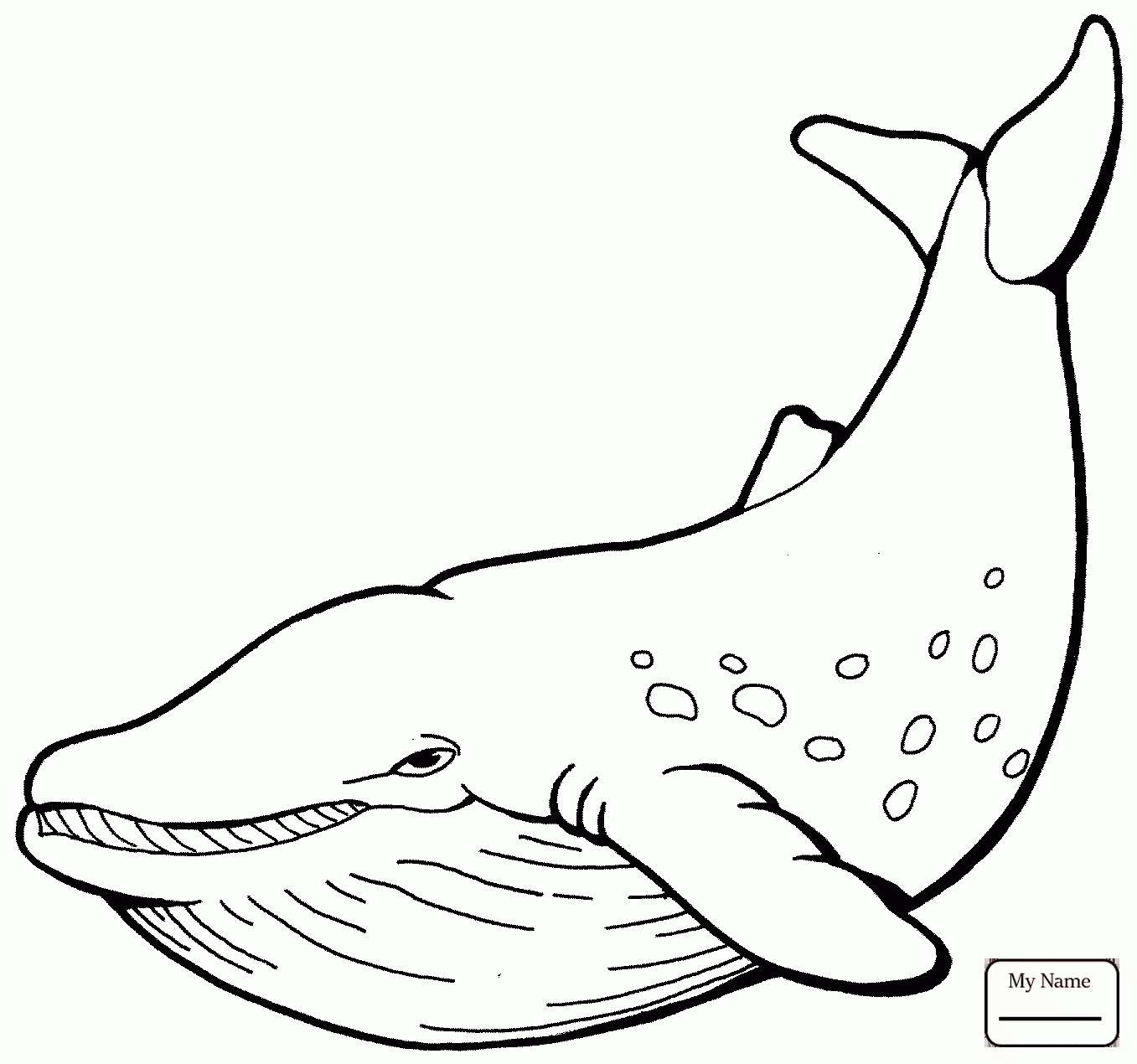 1357x1270 Cartoon Whale Cute Killer Whale Is Jumping Out Of Water Mammals