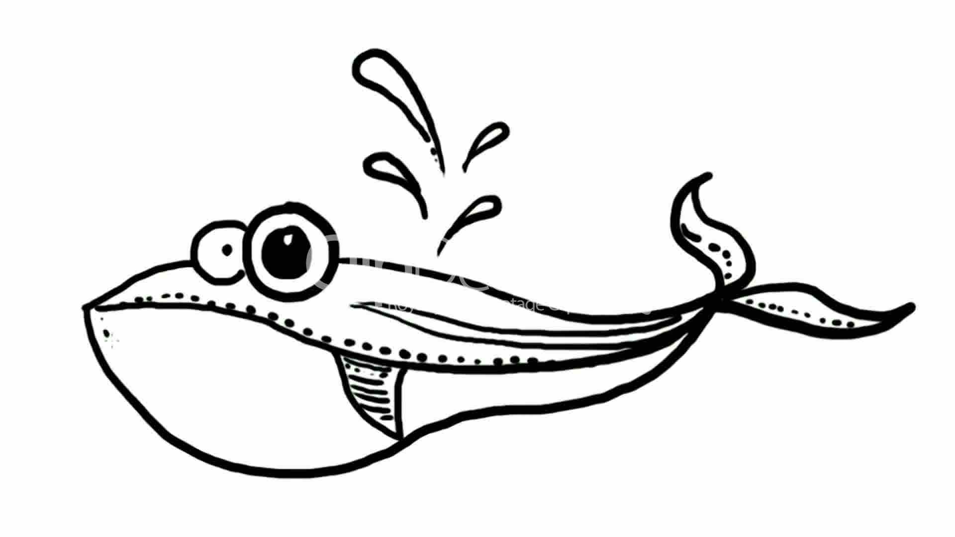 1920x1080 Drawing Of Whale Erupt Water,hand Painting Video Material,sketch