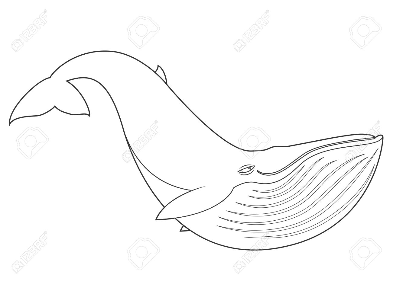 1300x974 Illustration Of A Blue Whale On White Background With Black