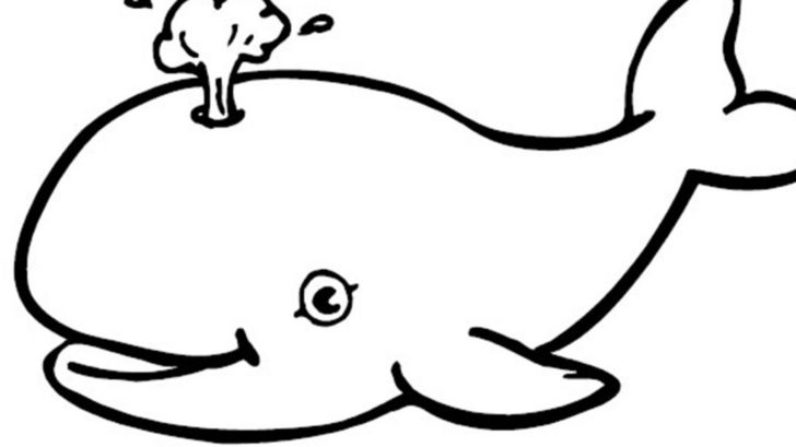 728x409 Whale Coloring Lesson Coloring Pages For Kids Coloring Lesson