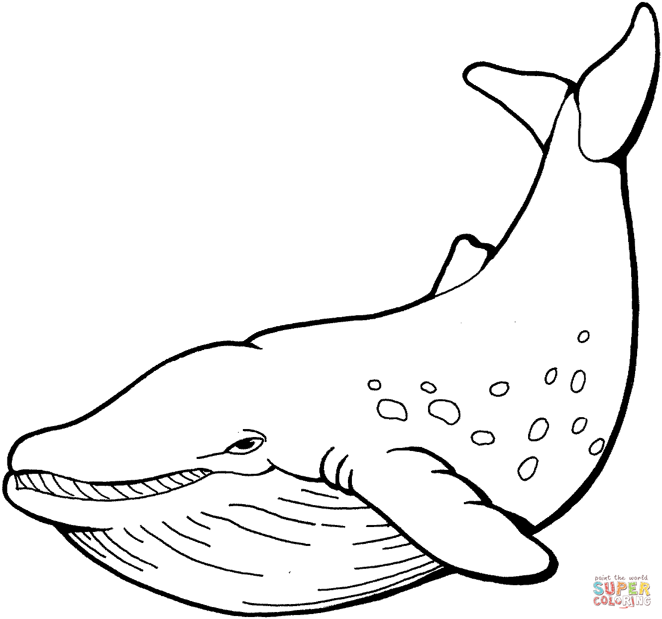 1330x1245 Whale Coloring Page Free Printable Pages On Whale Coloring Pages