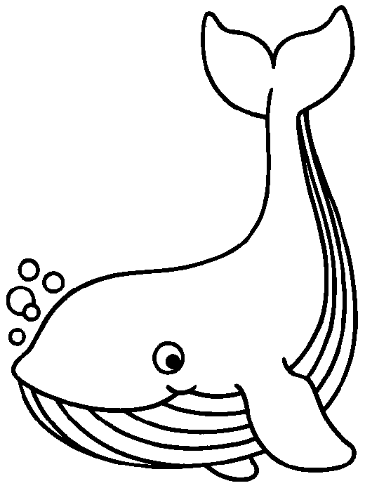 520x695 Whale Coloring Pages For Preschool