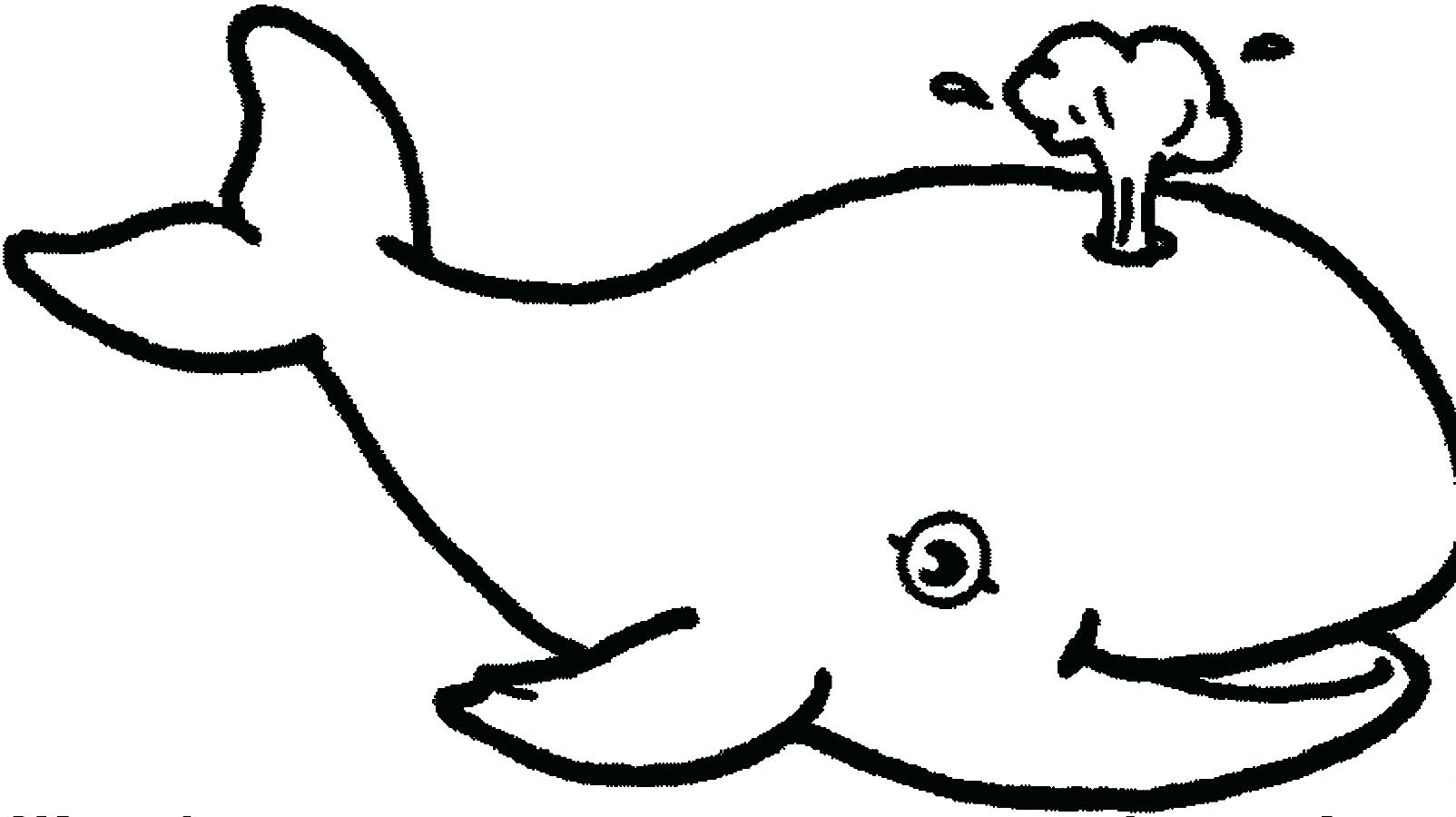 1604x900 Coloring Blue Whale Coloring Pages