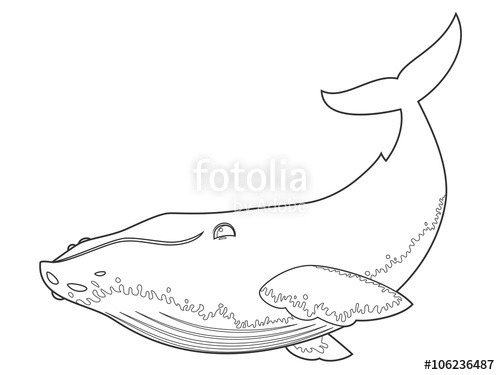 500x375 Vector Illustration Of A Blue Whale On White Background With Black
