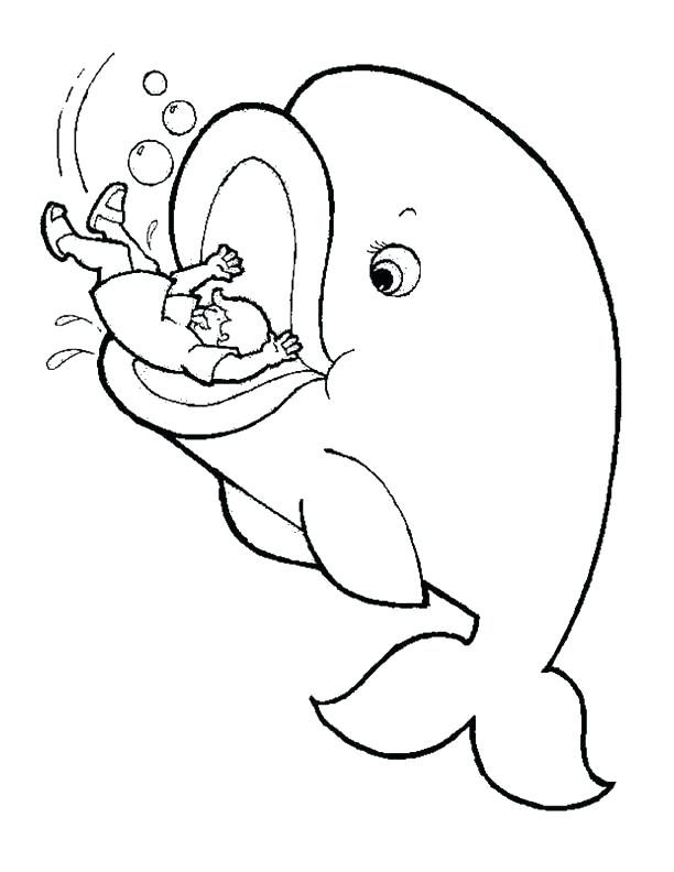 612x792 Cheap Whale Coloring Page Print Pages Color Printable And The