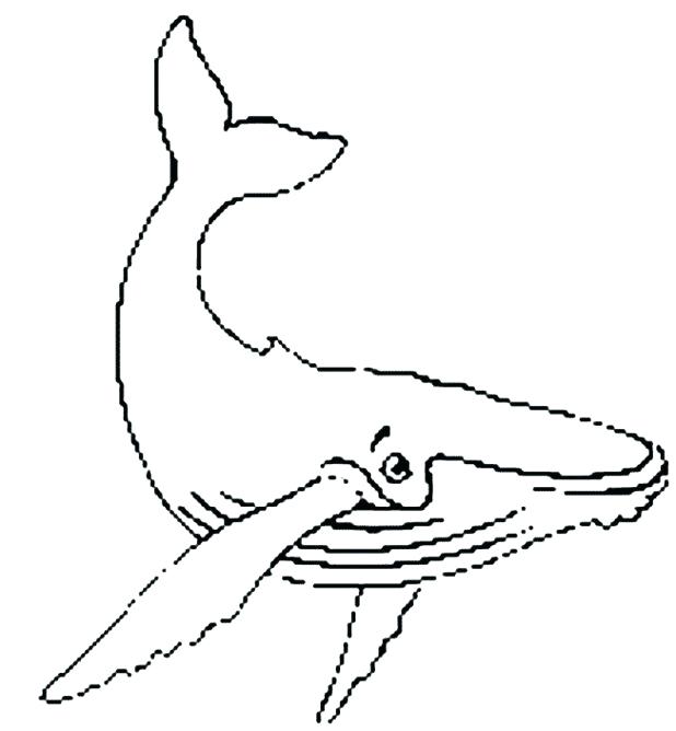 618x668 Sperm Whale Coloring Page Coloring Pages Of Dogs Cats And Horses