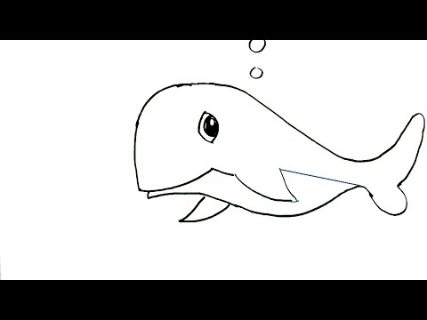 480x360 How To Draw A Blue Whale In Easy Steps For Children. Beginners