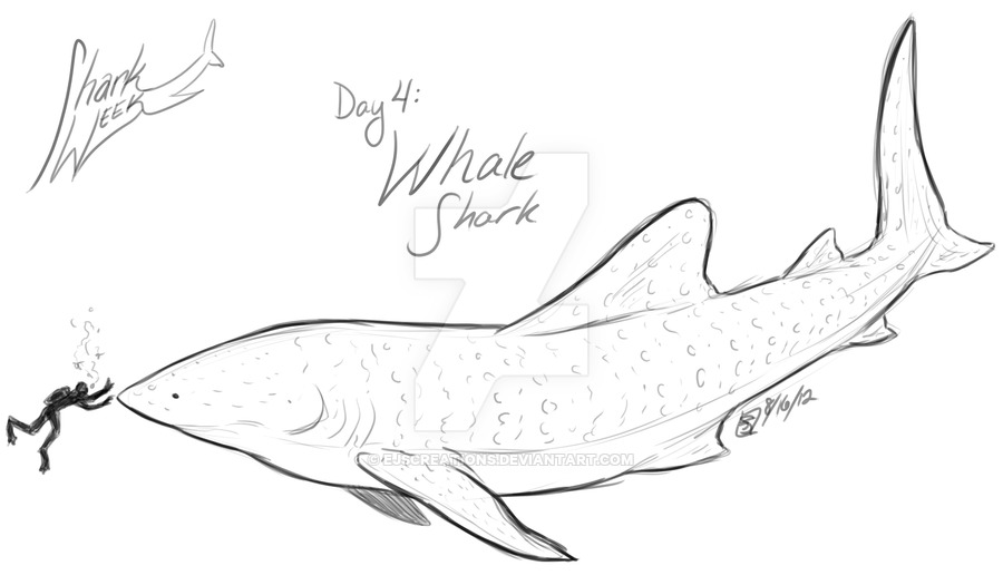 900x525 Shark Week Day 4 Whale Shark By Ejscreations