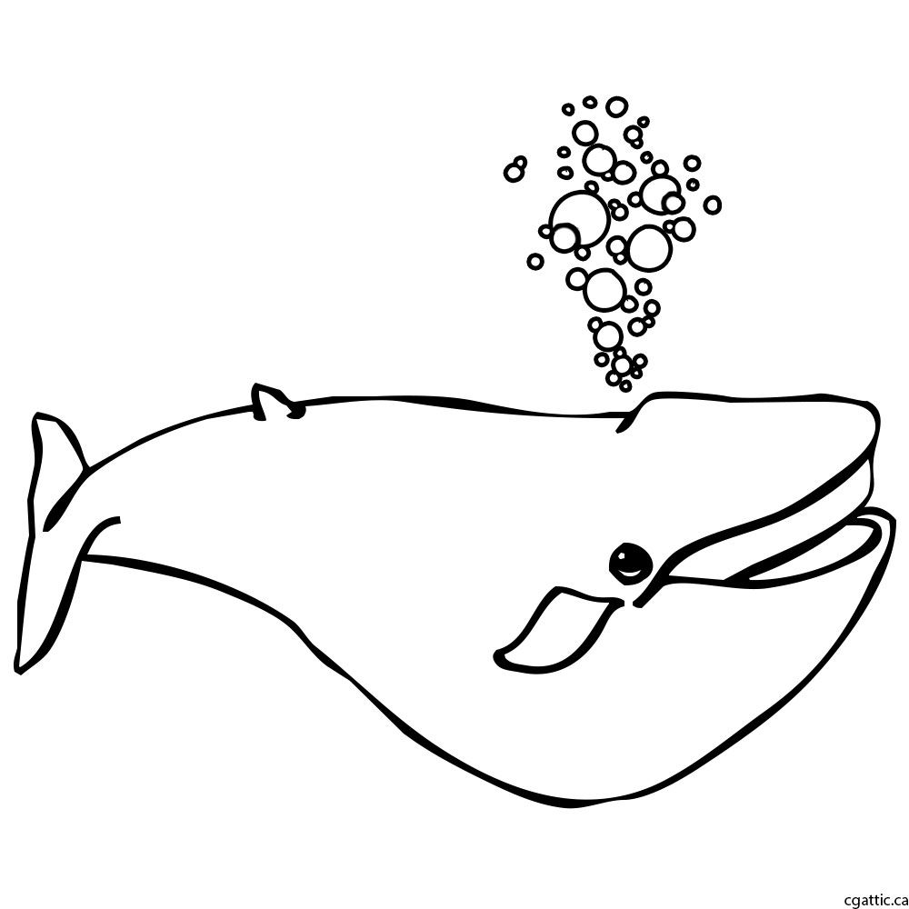 1000x1000 Whale Cartoon Drawing In 4 Steps With Photoshop Cartoon Whale