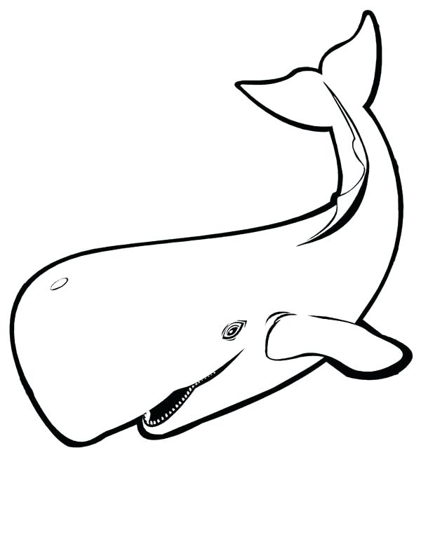 600x776 Killer Whale Coloring Page Line Drawing Of Killer Whale With Calf