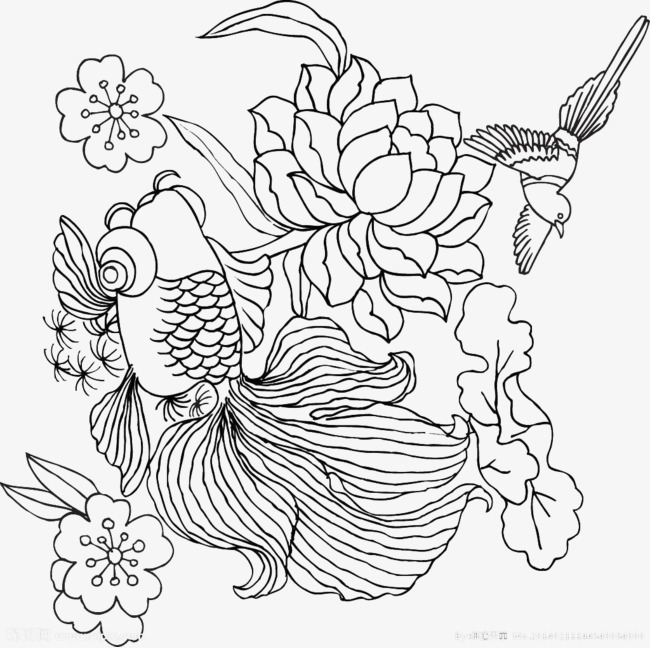 650x648 Line Drawing Whale, Line Drawing, Whale, Flowers Png Image